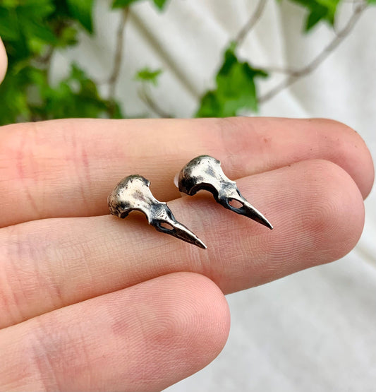 Crow scull stud earrings